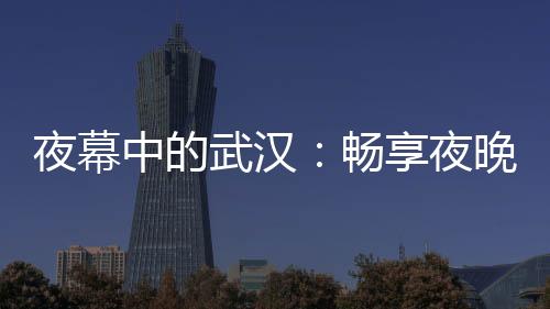 武汉狼盟：构建共享经济时代的城市智慧生态